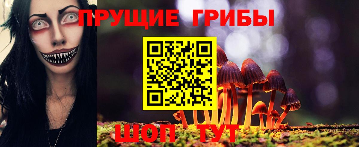 Барнаул  купить   Вход с VPN  Галлюциногенные грибы GOLDEN TEACHER 