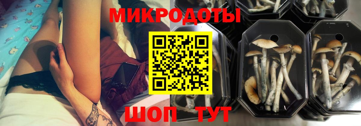 Псилоцибиновые грибы Magic Shrooms Барнаул